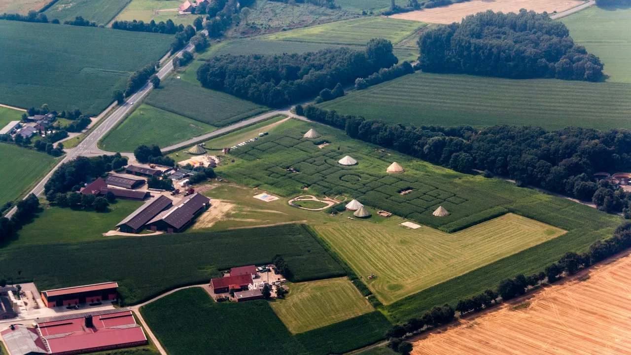 Aerial view of a corn maze among farm fields; no people visible